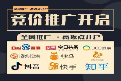 案例分析：SEM广告助力电商行业突破